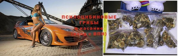 Альфа ПВП Балахна