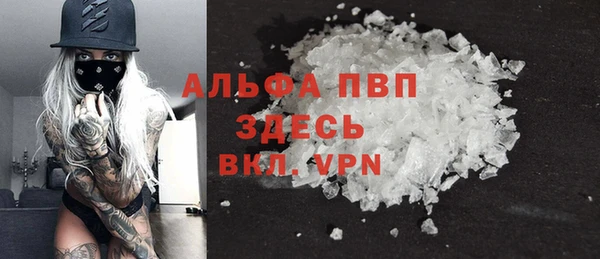 амф Сосновый Бор